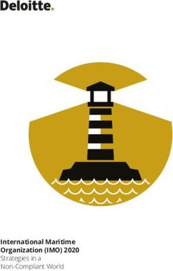 International Maritime Organization (IMO) 2020 - Strategies in a Non-Compliant World