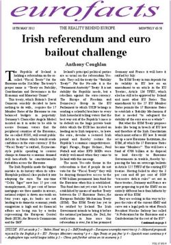 Irish referendum and euro bailout challenge