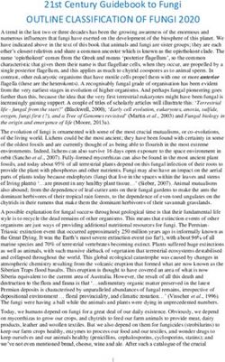 OUTLINE CLASSIFICATION OF FUNGI 2020 - 21st Century Guidebook to Fungi