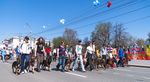 Pet Friendly Rankings, Pet Ownership Rates, and Economic Outcomes