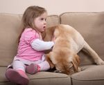 Pet Friendly Rankings, Pet Ownership Rates, and Economic Outcomes