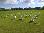 Ammonium-Based Compound Fertilisers Mitigate Nitrous Oxide Emissions in Temperate Grassland