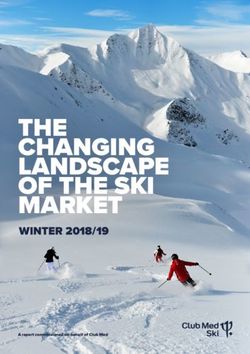 THE CHANGING LANDSCAPE OF THE SKI MARKET - WINTER 2018/19 A report commissioned on behalf of Club Med