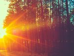 Bringing Balance to the Scales of Justice: Fulfilling Our Responsibility to Indigenous People Involved in the Justice System