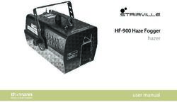 HF-900 Haze Fogger hazer user manual