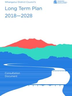 Long Term Plan 2018-2028 - Whanganui District Council's - Consultation Document