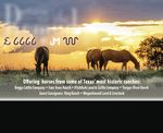 PREPARE FOR PURCHASE SPECIAL PROMOTION: HORSE SALES - Western ...
