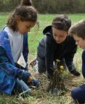 ECOLOGICAL CULTURE: THE LONG HAUL - The Farm Community