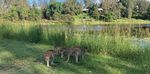 ECOLOGICAL CULTURE: THE LONG HAUL - The Farm Community