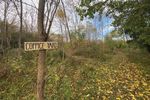 ECOLOGICAL CULTURE: THE LONG HAUL - The Farm Community