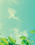 ECOLOGICAL CULTURE: THE LONG HAUL - The Farm Community