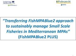 (FISHMPABLUE2 PLUS) "TRANSFERRING FISHMPABLUE2 APPROACH TO SUSTAINABLY MANAGE SMALL SCALE FISHERIES IN MEDITERRANEAN MPAS" - AREA MARINA PROTETTA ...