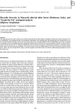 Hoverfly diversity in Mareschi alluvial alder forest (Piedmont, Italy), and "Syrph the Net" ecological analysis (Diptera: Syrphidae)
