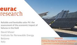 David Moser Institute for Renewable Energy Bolzano - Reliable and bankable solar PV: the assessment of the economic impact of failures in the field