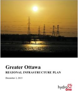 Greater Ottawa REGIONAL INFRASTRUCTURE PLAN December 2, 2015 - Type text - Hydro One