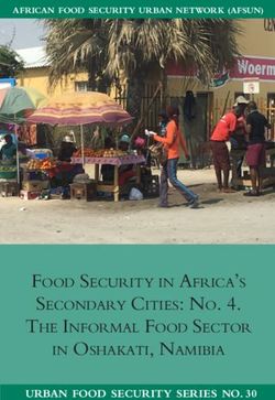 FOOD SECURITY IN AFRICA'S SECONDARY CITIES: NO. 4. THE INFORMAL FOOD SECTOR IN OSHAKATI, NAMIBIA - URBAN FOOD SECURITY SERIES NO. 30