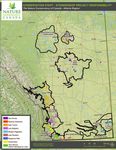 Incentives Guide Grasslands Conservation - A Guide to the Incentives and Programs Available for Prairie Working Landscapes - Birds Canada