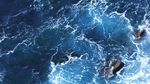 Tidal Energy Insights into Tidal Stream energy - An insights report by the Energy Technologies Institute