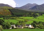Sustainable Rural Communities - Rural Strategy & Action Plan 2016 2020 - The Housing ...