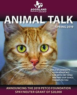 ANIMAL TALK SPRING 2019 - ANNOUNCING THE 2019 PETCO FOUNDATION SPAY/NEUTER GRANT OF $20,000