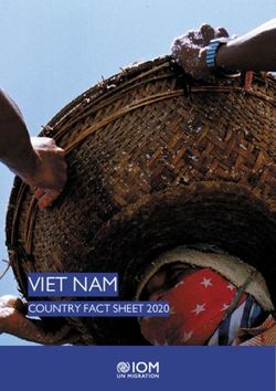 VIET NAM COUNTRY FACT SHEET 2020 - Returning from Germany