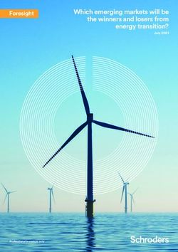 Which emerging markets will be the winners and losers from energy transition? - Foresight - Schroders