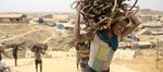 COMBATTING HUMAN TRAFFICKING IN EAST ASIA: MIND THE GAPS - RSIS