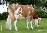 Presentation Crossbreeding with Red Breeds Hamar june 2016 Henk Schoonvelde - Geno Global