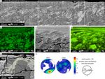 Frictional properties and microstructural evolution of dry and wet calcite-dolomite gouges - Solid Earth