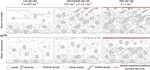 Frictional properties and microstructural evolution of dry and wet calcite-dolomite gouges - Solid Earth