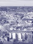 Fairwork Germany Ratings 2020: Labour Standards in the Platform Economy - Labour Standards in the Platform Economy