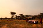 A Private Safari for The Comedy Wildlife Photography Awards