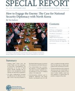 SPECIAL REPORT - United States Institute of Peace