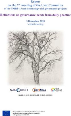 Report on the 3rd meeting of the User Committee - NanoRIGO