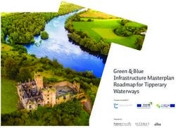 Green & Blue Infrastructure Masterplan Roadmap for Tipperary Waterways