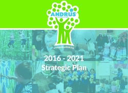 2016 2021 Strategic Plan - Andrus