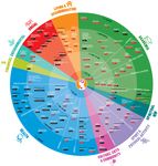 University of Canterbury Wellbeing Strategy - Discussion Document A refresh of the 2018 Wellness, Physical Activity and Sport Strategy