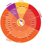 University of Canterbury Wellbeing Strategy - Discussion Document A refresh of the 2018 Wellness, Physical Activity and Sport Strategy