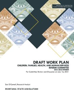 DRAFT WORK PLAN - Montana State Legislature