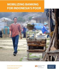 MOBILIZING BANKING FOR INDONESIA'S POOR