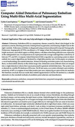 Computer Aided Detection of Pulmonary Embolism Using Multi-Slice Multi-Axial Segmentation