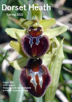 Dorset Heath Spring 2022 - Events 2022 VCR's Report Features: Early Spider Orchids In Profile: Cranborne Chase