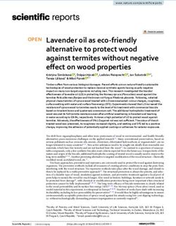 Lavender oil as eco friendly alternative to protect wood against termites without negative effect on wood properties