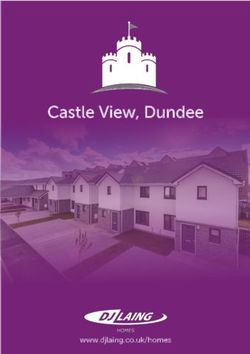 Castle View, Dundee - www.djlaing.co.uk/homes - TSPC