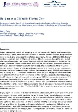 Beijing as a Globally Fluent City