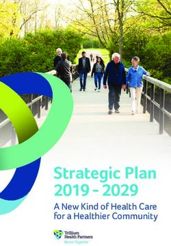 Strategic Plan 2019 2029 - A New Kind of Health Care for a Healthier Community