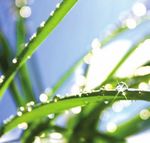 WATER FOR DRINKING. FOR LIVING. FOREVER - YOUR GUIDE TO CONSERVATION