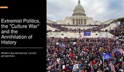 Extremist Politics, the "Culture War" and the Annihilation of History - Modern day democracy: current perspectives