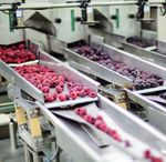 FOOD AND DRINK SAFETY AND PROTECTION FOR THE FOOD AND DRINK INDUSTRY