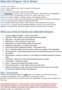 BEARDED DRAGON CARE SHEET - COMPANIONPETZ